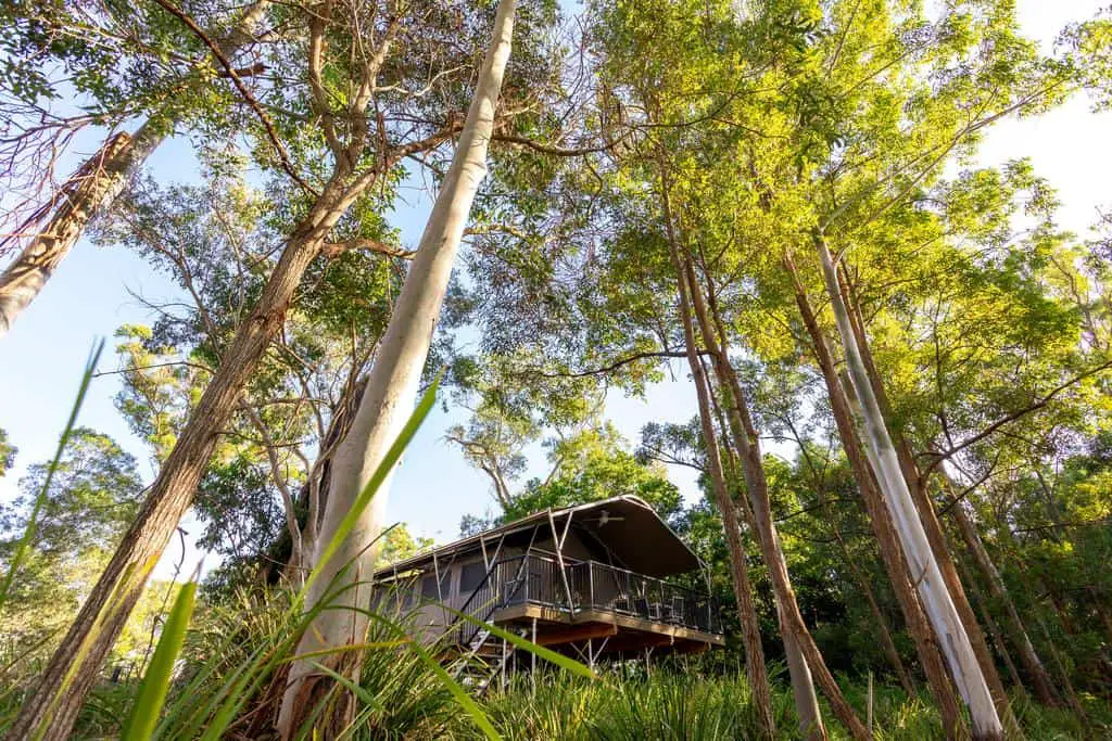 best glamping south east queensland