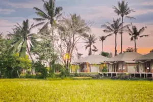 Bali Beach Glamping | The Best Beachfront Glamping