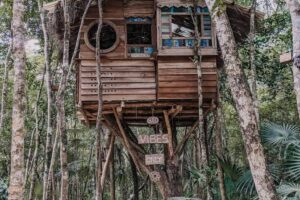 5 Amazing Treehouses in BC to Rent this Summer