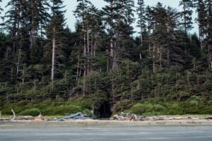 Top 5 Vancouver Island Glamping Spots To Visit This Summer